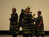 dsc04199 - 