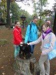 dsc04352 - 