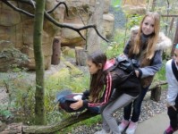 dsc04367 - 