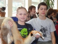dsc04387 - 