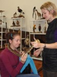 dsc04399 - 