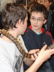 dsc04405 - 