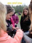 dsc06178 - 