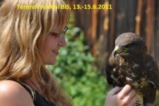 dsc_0421 - 