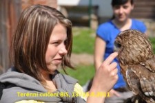 dsc_0459 - 