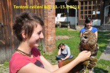 dsc_0463 - 