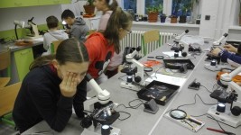 img_20181018_080116 - 