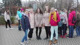img_20181116_085410 - 