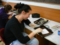p1130307__640x480_ - 