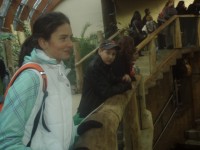 pb100063 - 