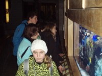 pb100068 - 