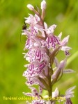s3810016 - 