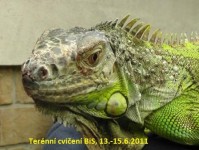 s3810149 - 