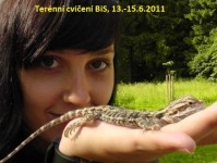 s3810188 - 