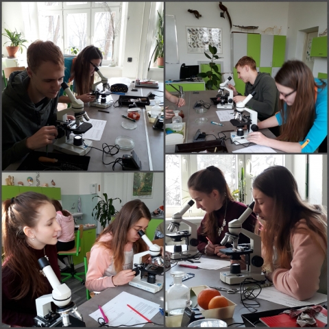 Bio ab | 20180219_193656