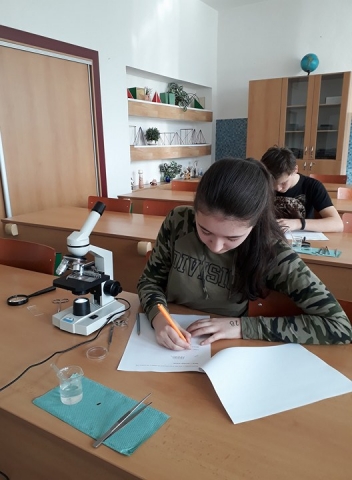BiO - kat. D okresní kolo | sa__a
