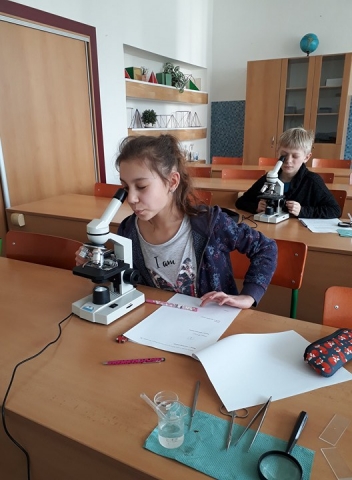 BiO - kat. D okresní kolo | veru
