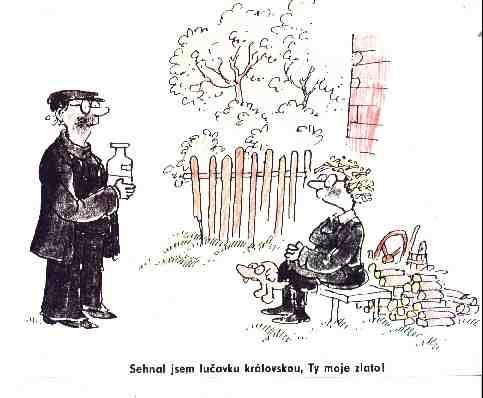 Články | rencin31