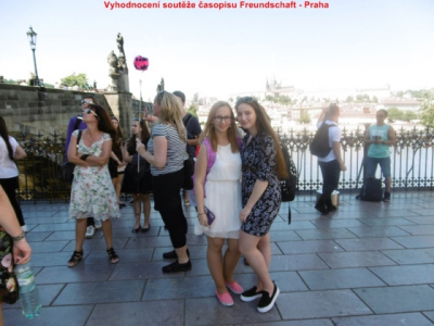 p10006251497348074
