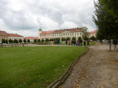 p1000884_800