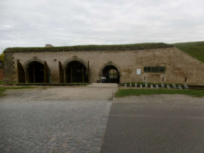 p1000941_800