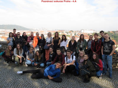 img_64031506937761