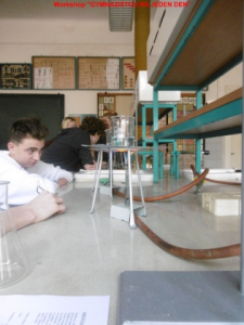 p1000077