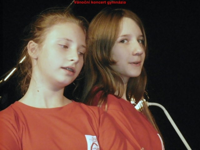 2017 - Vánoční koncert