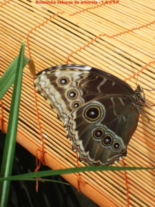 dscf2812