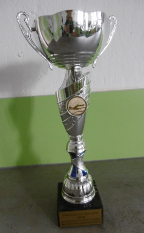 2018 - Plave celé město
