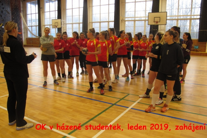 2019 - OK v házené dívek