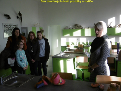 p10006651548053094