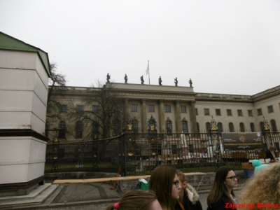 p10008521553513665