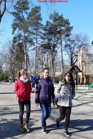 2019 - ZOO - jaro