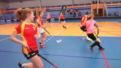 Okresní kolo ve florbalu - dívky střední škola, Havířov 27. ledna 2020 - holky v akci