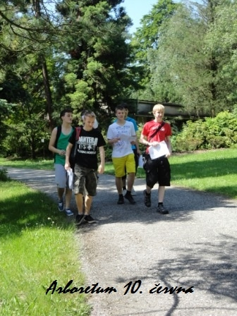 Arboretum