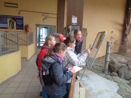 ZOO 2015 podzim