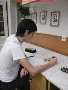 p10007521486385044