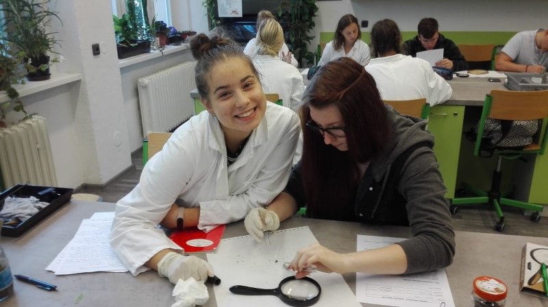 Praktická výuka - pozorování žížaly v biologickém semináři