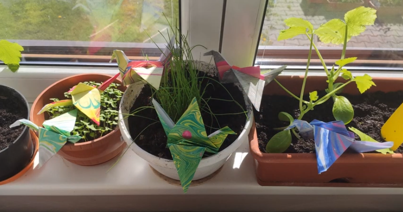 Origami jeřábi pro splnění přání