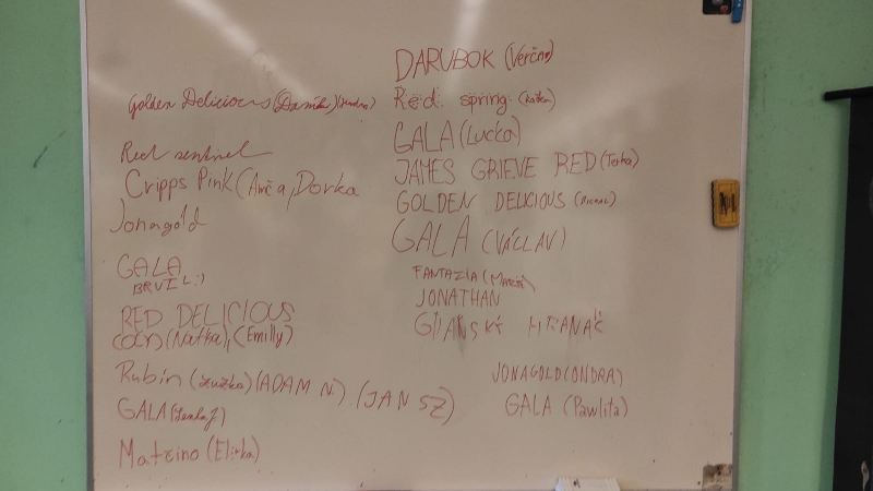I letos jsme v sekundě volili Jablko roku