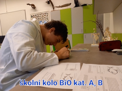 pohyby ve vodě