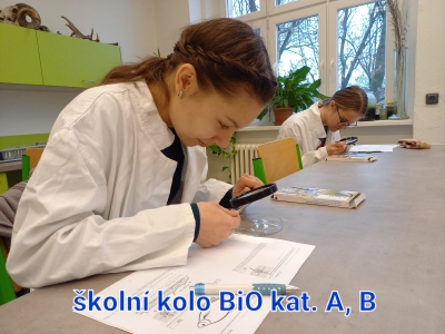 Pohyby ve vodě