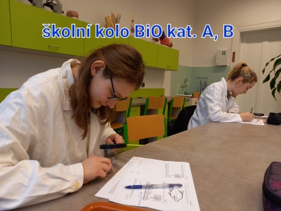 Pohyby ve vodě