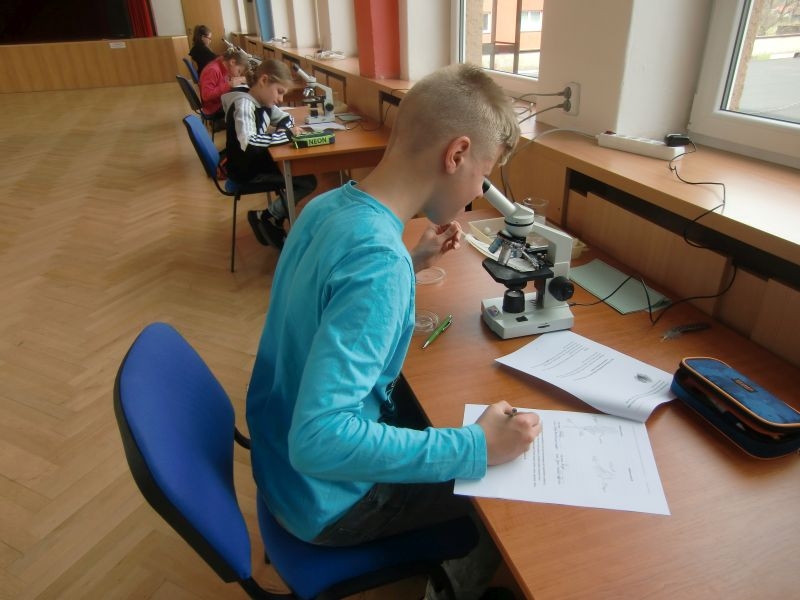 Okresní kolo Biologické olympiády kategorie D