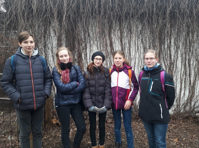Postoupili jsme do finále prestižní soutěže v ZOO!