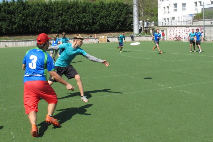 Úspěšné pokračování kvalifikace - frisbee