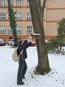 3.P připravuje krmítka