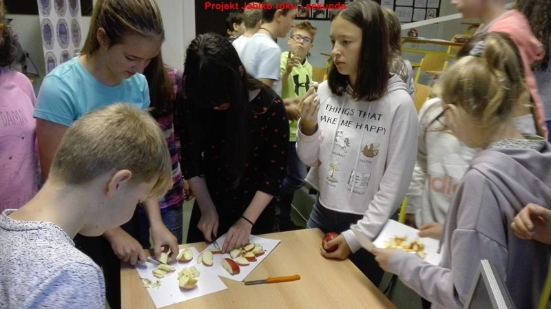 Biologický projekt - JABLKO ROKU - sekunda