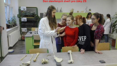 whatsapp_image_2018_12_18_at_12_08_11__1_